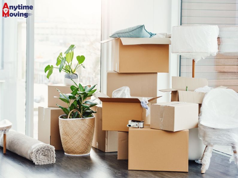 local moving companies in port moody