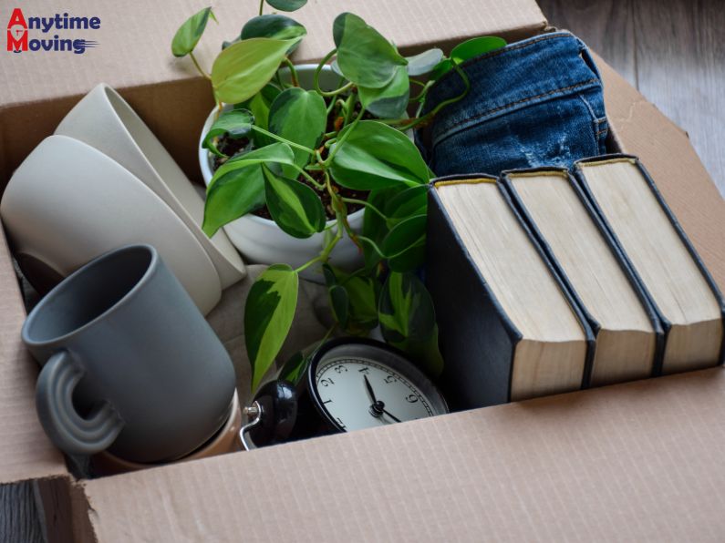 4 Essential Packing Tips for Moving_ Experience an Effortless Relocation