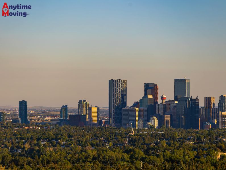 Factors Influencing Moving Costs