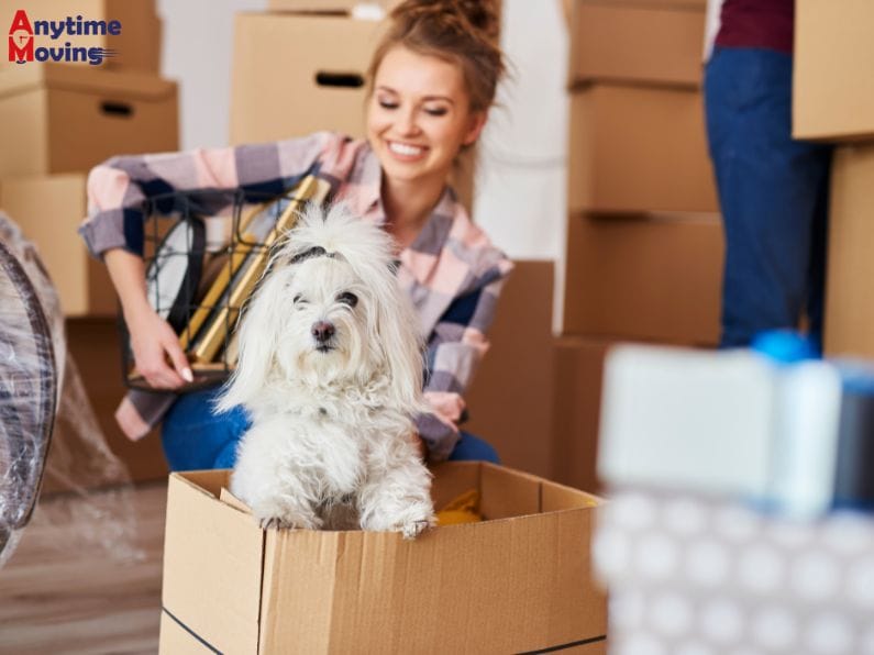 Moving with Pets